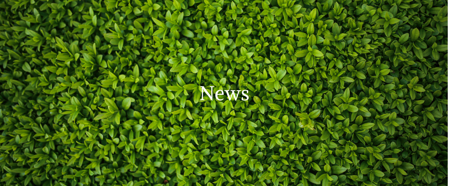 オゾンガス発生器