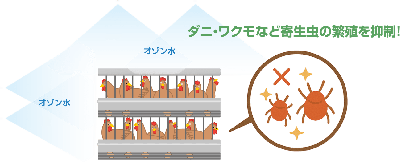 オゾン水を噴霧してダニ・ワクモなどの寄生虫を駆除するイメージ