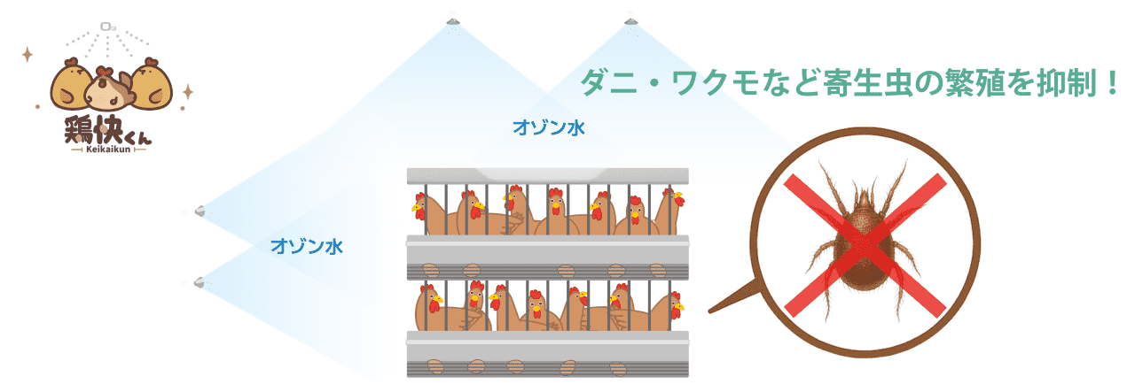 オゾン水を噴霧してダニ・ワクモなどの寄生虫を駆除するイメージ