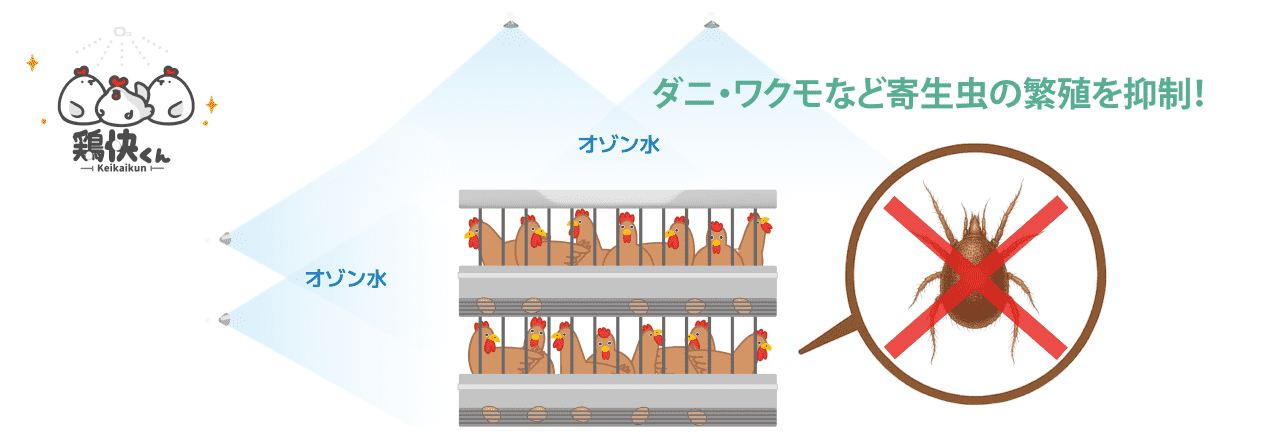 オゾン水を噴霧してダニ・ワクモなどの寄生虫を駆除するイメージ