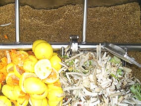 実験:生ゴミ投入時の状態。