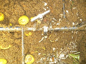 実験:処理開始。