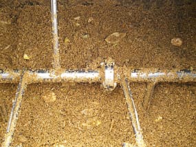 実験:三日目の消滅状況。