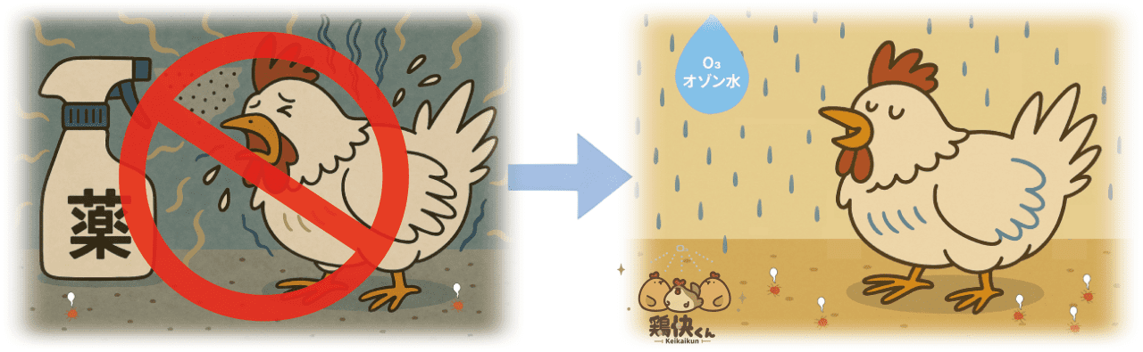 薬剤散布の代わりにオゾン水を使用することで鶏も元気になり生産性もアップ イメージ画像