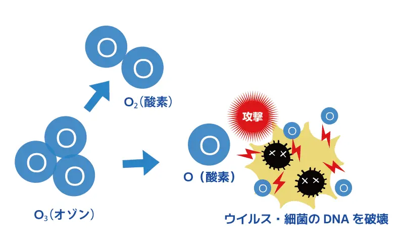 分子レベルの除菌破壊イメージ