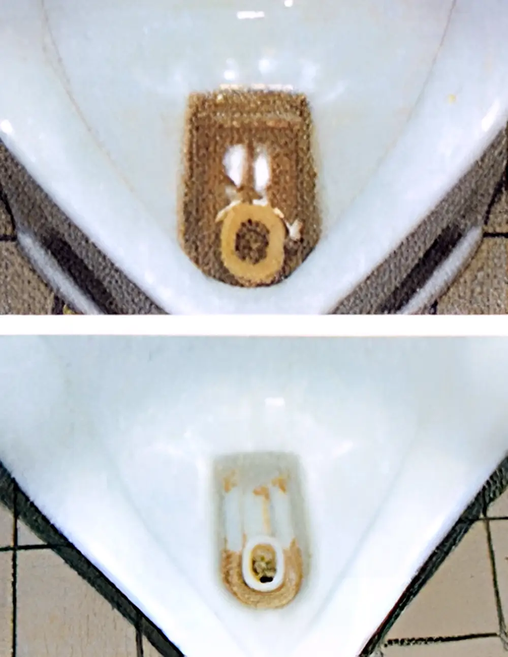 尿石付着防止 比較写真