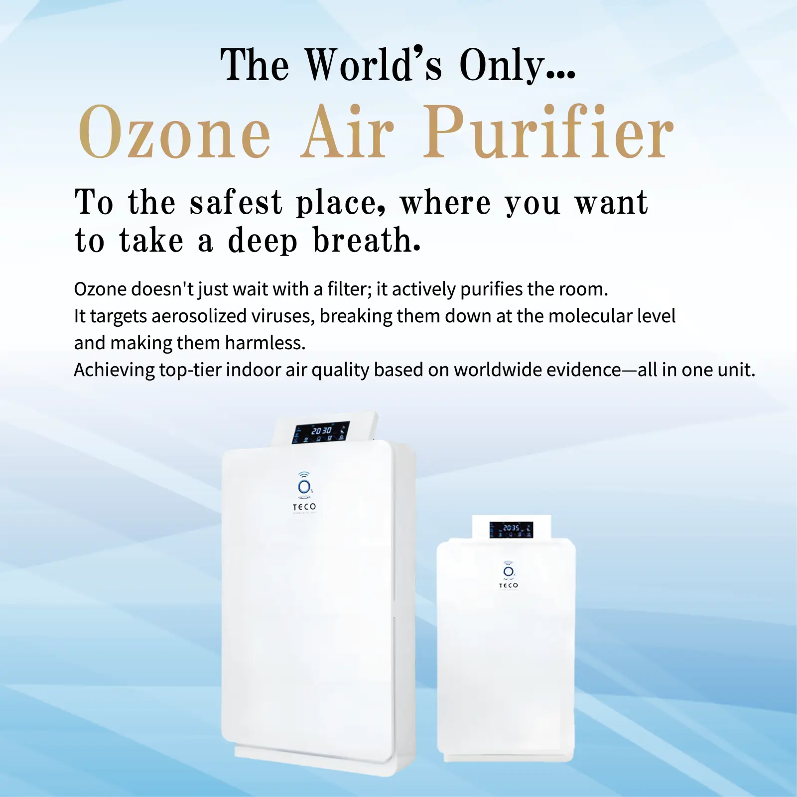 BT-180H Ozone Air Purifier