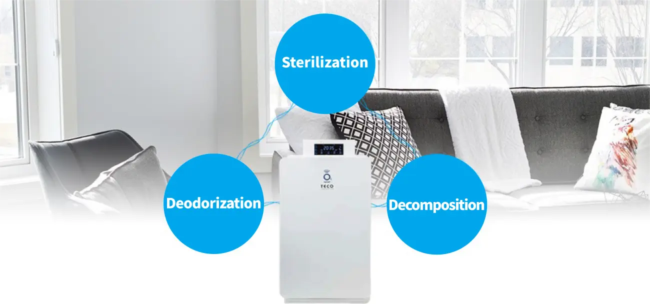 The three main effects of ozone: Sterilization, Deodorization, and Decomposition.