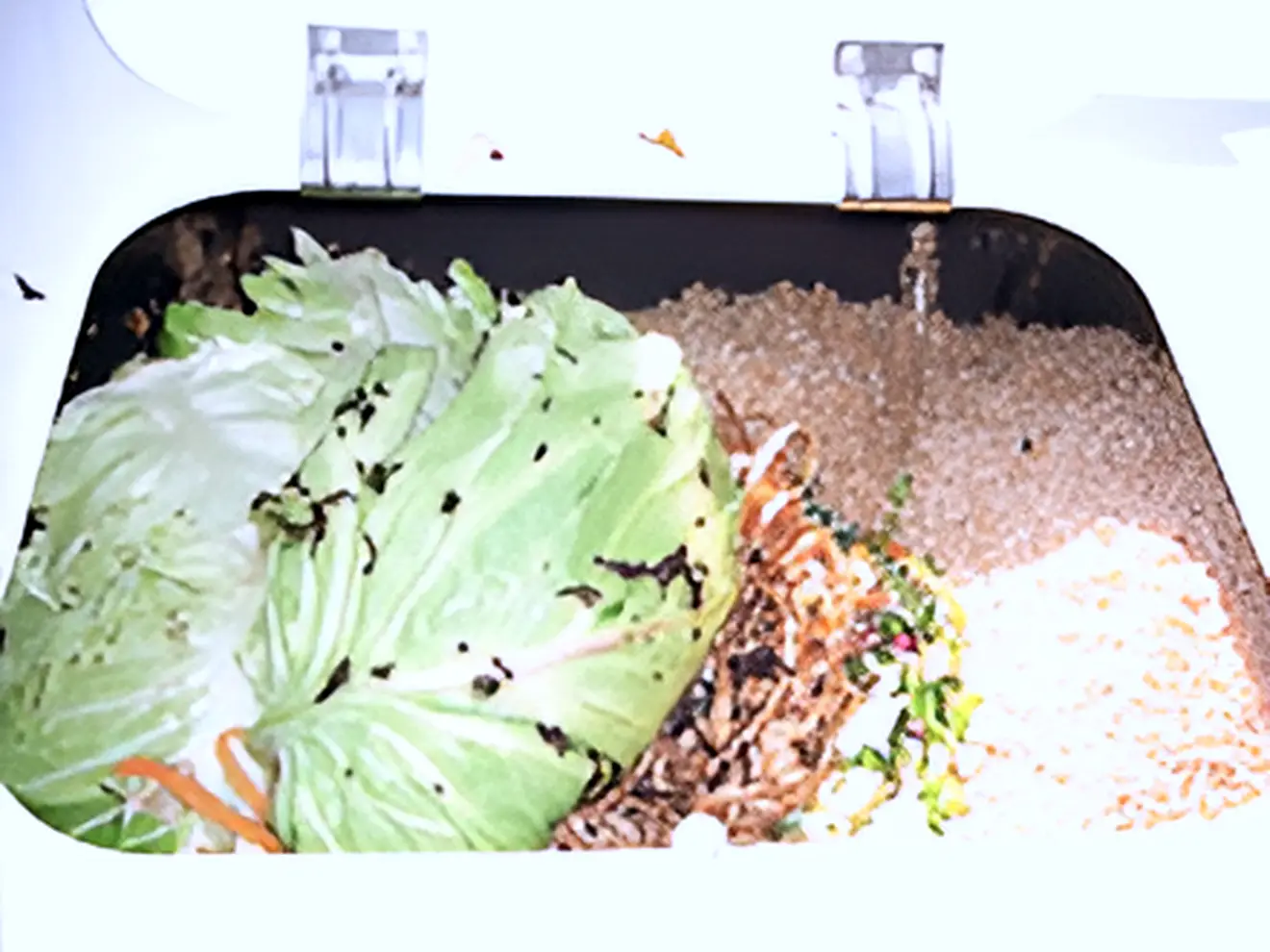 Automatic Agitation: Uniformly mixing microorganisms and food waste