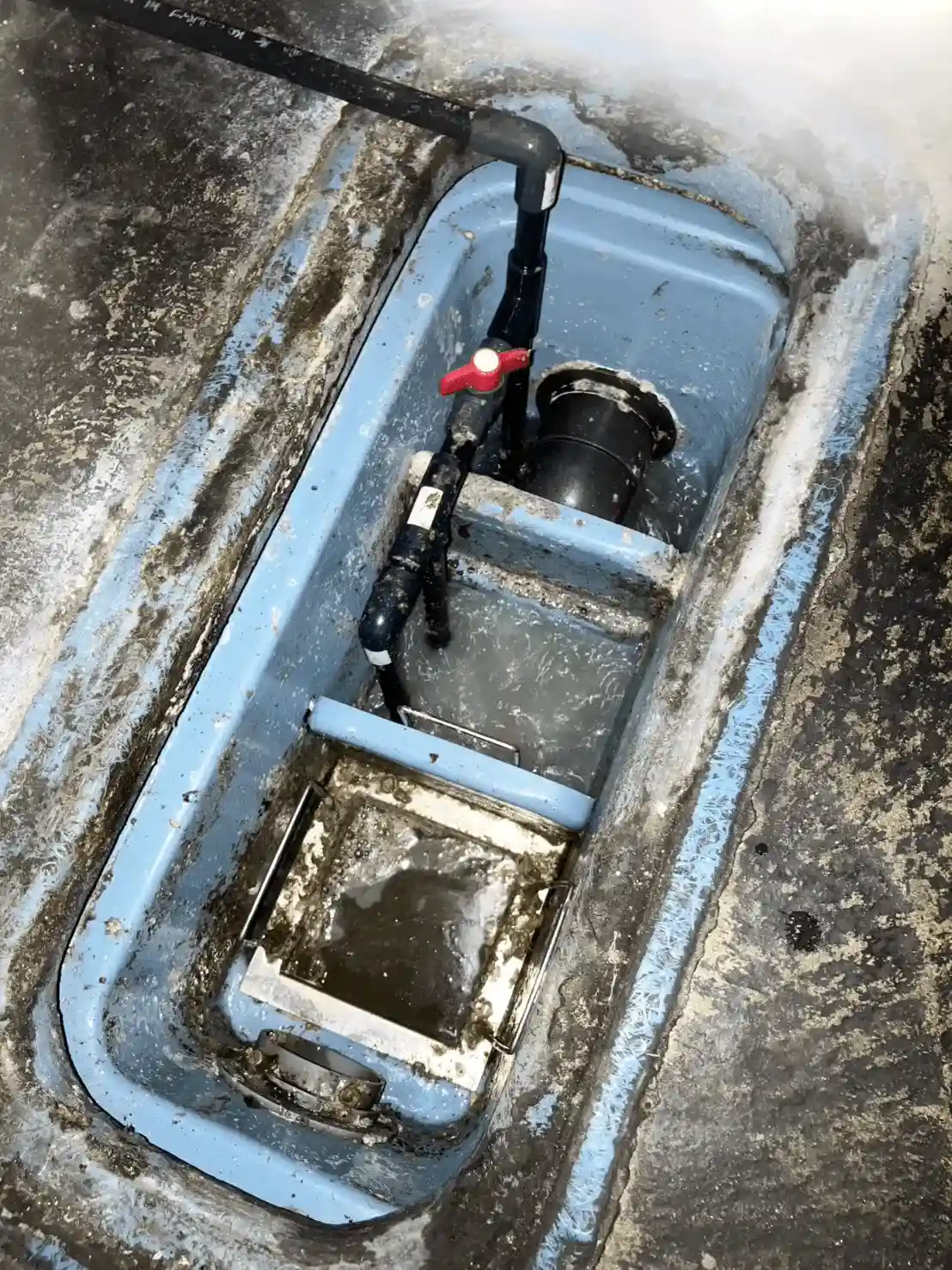 オゾンによって油分が分解され、清掃頻度と負担が大幅に軽減された焼肉店「うしやのせがれ」様のグリーストラップ内部